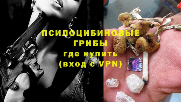 гидра Медвежьегорск