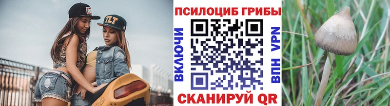 наркотики  Заволжск  Галлюциногенные грибы Magic Shrooms 