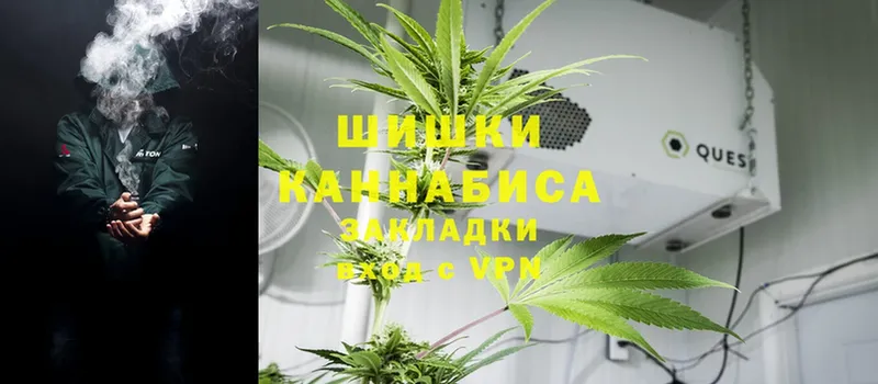 где можно купить наркотик  Заволжск  Марихуана THC 21% 